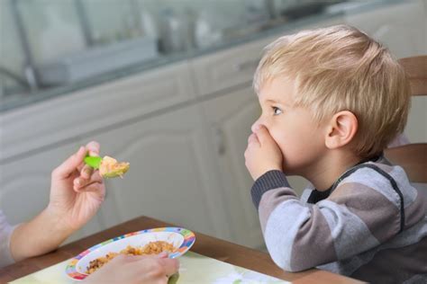 Seletividade Alimentar Meu Filho Não Quer Comer Nada O Que Faço — Pediátrica Clínica