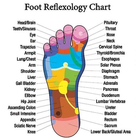 Clepssyfit™ Acupressure Slimming Insoles Reflexology Chart Reflexology Foot Chart