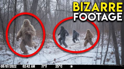 Bizarre Ape Like Creatures Captured On Trail Camera Youtube