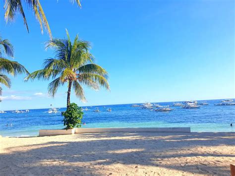 Ultimate Travel Guide To Panglao Island Bohol Go Around Philippines