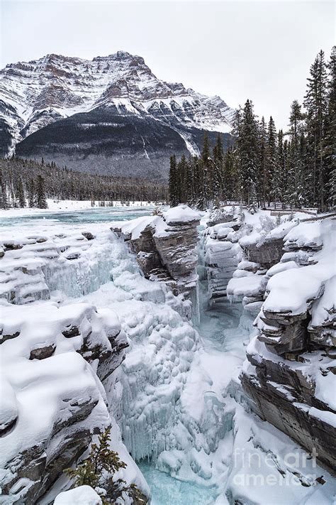 Frozen Athabasca Falls Photograph By Rhonda Krause