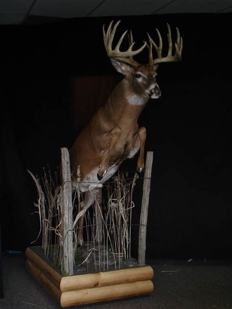 Pin By Evs16 On Hunting Board In 2020 Deer Mounts Deer Hunting Decor