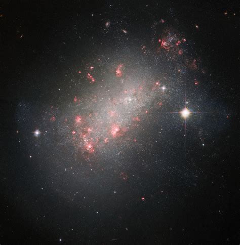 Hubble Observes Magellanic Type Dwarf Irregular Galaxy Scinews