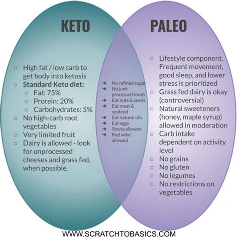 Paleo Vs Whole 30 Vs Keto How To Pick The Best Diet For You