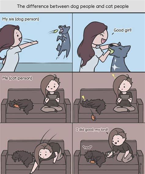 Differences Between Cats And Dogs 60 Funny Pictures Funny Animal