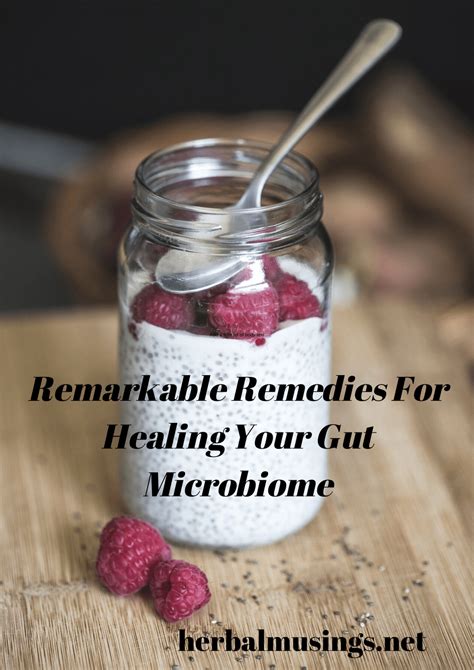 Remarkable Remedies For Healing Your Gut Microbiome Herbal Musings