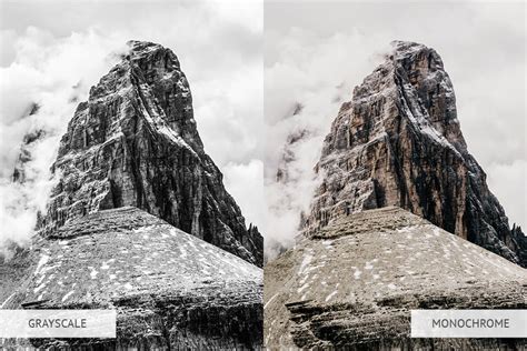 Monochrome Vs Grayscale Photography What Is The Difference