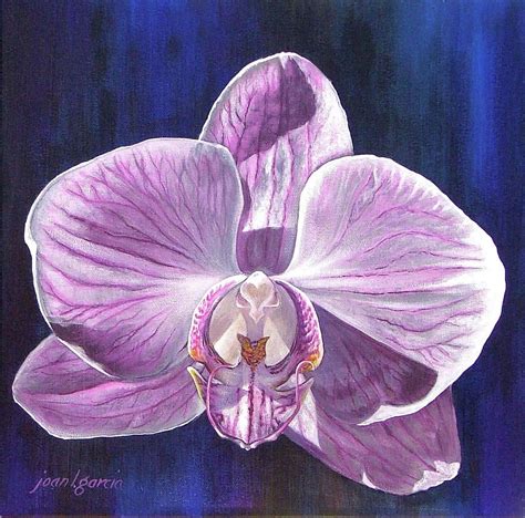 Orchid Paintings Orchid I Painting Orchid I Fine Art Print