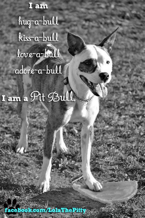 Save The Pitbull Breed Quotes Quotesgram