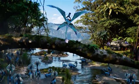 Disneys Animal Kingdom Ride Review Avatar Flight Of Passage Orange
