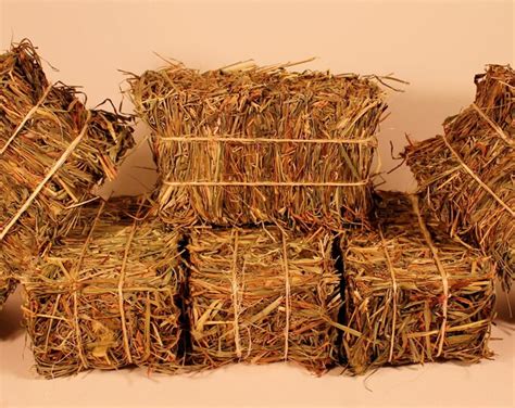 Mini Hay Bales Set Of 30 Etsy