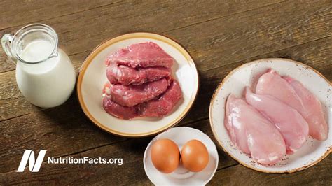 Estrogen In Meat Dairy And Eggs