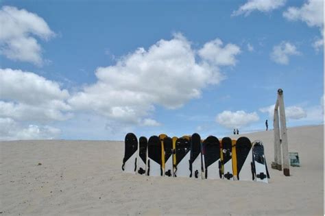 How To Pick Best Sandboards And Sleds Savvy Escapade