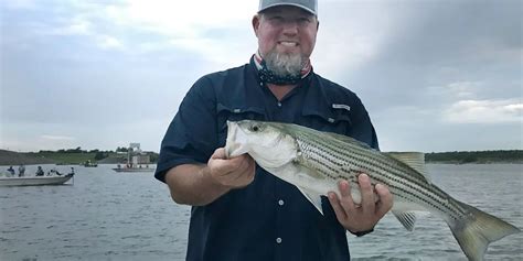 The 3 Most Effective Types Of Striper Lures Lakehub