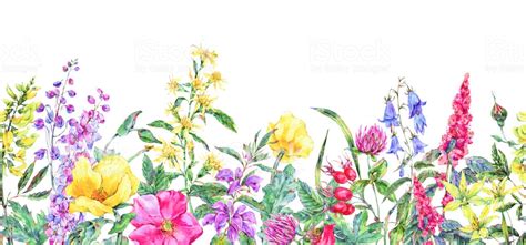 Wildflower Clipart Borders 10 Free Cliparts Download Images On