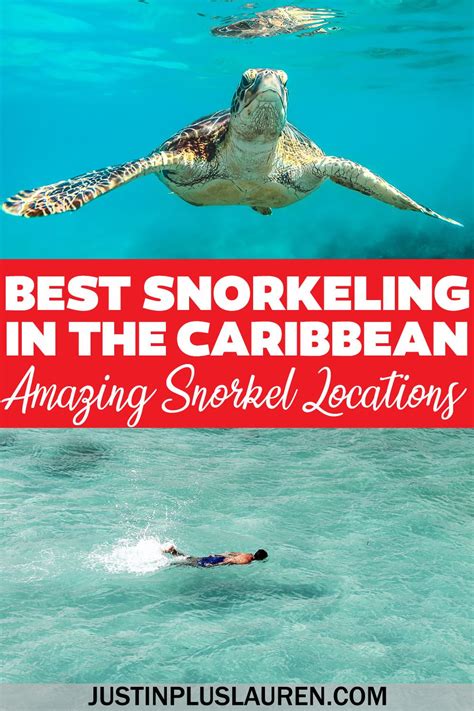 Best Snorkeling In The Caribbean Where You Wont Believe Your Eyes