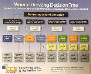 Wound Classification Chart And Wound Care Management Vrogue Co