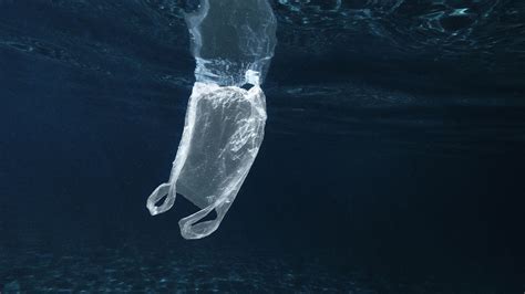 La Pollution De Plastique Dans Les Océans Pourrait Tripler Dici 2040