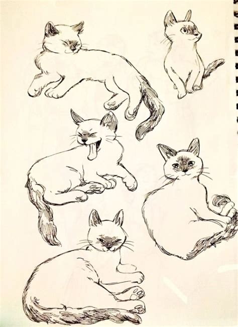 Bev Johnson Cute Animal Drawings Animal Sketches Cat Illustration