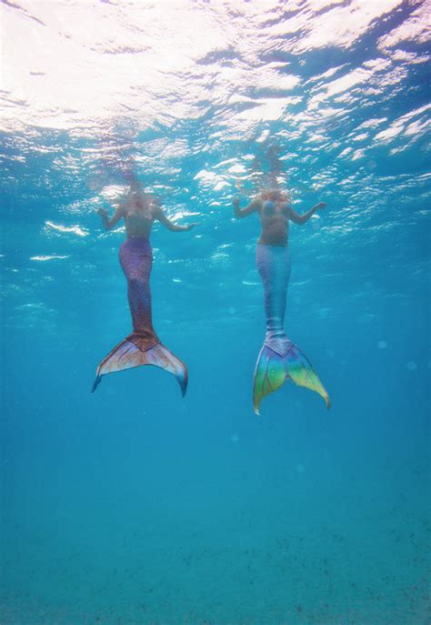 Real Life Mermaids Swim In The Belize Barrier Reef Mermaid Swimming