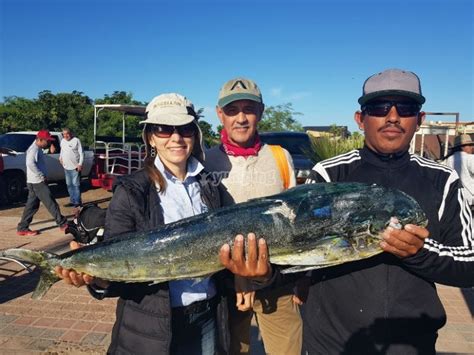 Pesca Deportiva En Panga 26ft 4 Pax En Mazatlán 4h Desde 6685