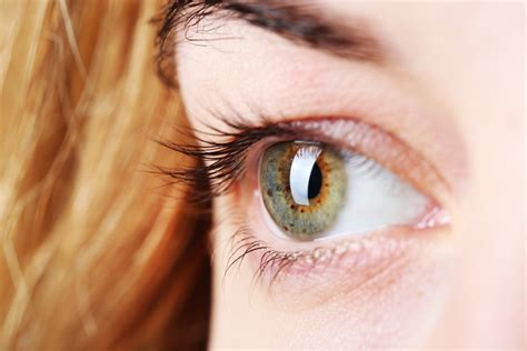 Thanks To Color Vision The Human Eye Can Distinguish Between Most