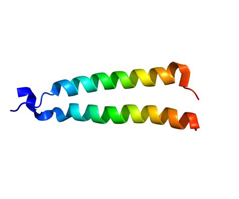 Alternative Splicing; RNA Splicing, Alternative; Splicing, Alternative
