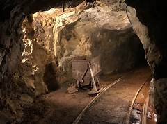 The Gold Mine S Hidden Ecosystem Exploring The Underground Biodiversity