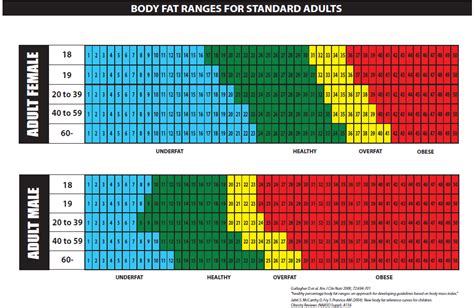 Body Fat Ranges For Standard Adults Hidden Dorm Sex The Best Porn Website