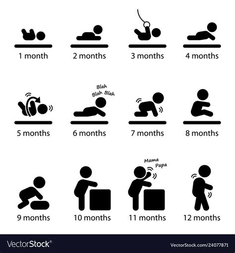Baby Development Stages Milestones First One Year Vector Image