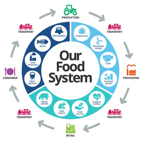Food Systems Thinking