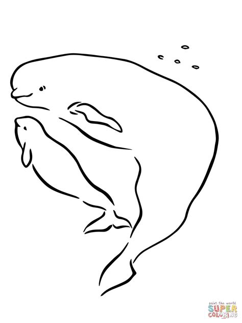 Baby Beluga Whale Coloring Page Everett Parsons Coloring Pages
