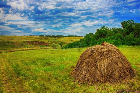 Summer Landscape On The Field Worth Stack Hay Bale Stock Photo Image
