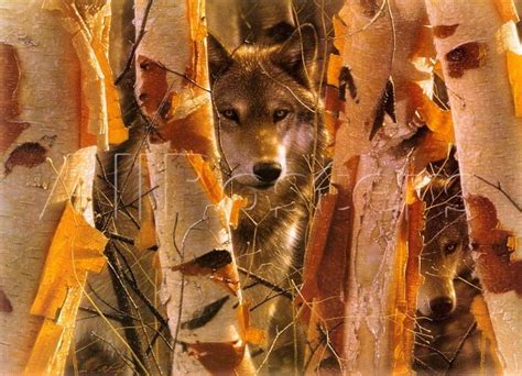Wolves Forest Autumn Leaves Birchs Wolf Trees Hd Wallpaper Peakpx