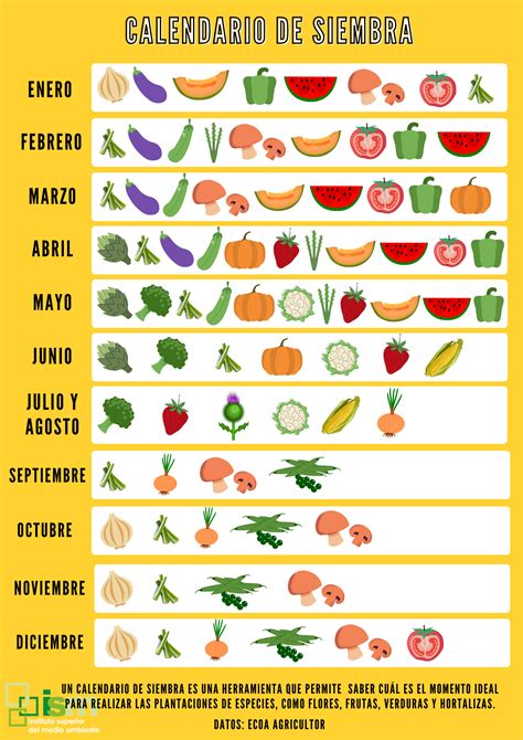 calendario de siembra ¿cuál es el momento óptimo para sembrar comunidad ism