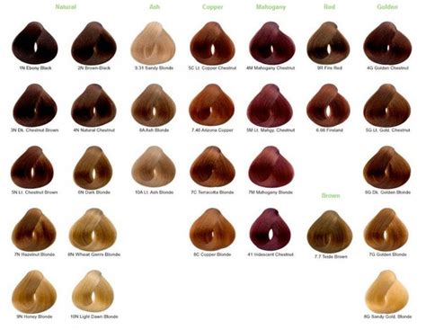Hair Colors Hair Color Chart Latest Hair Color Types Of Hair Color