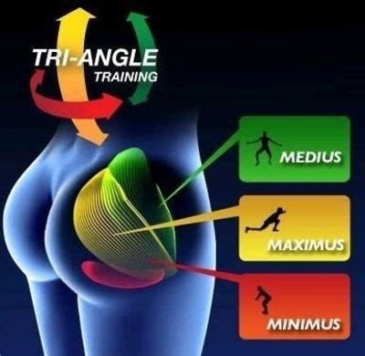 The gluteus maximus, gluteus medius and gluteus minimus. The 3 Exercise Workout For Strong And Powerful Glutes ...