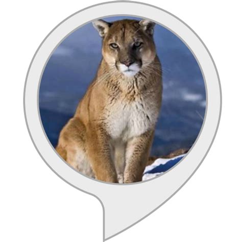 Cougar Facts Alexa Skills