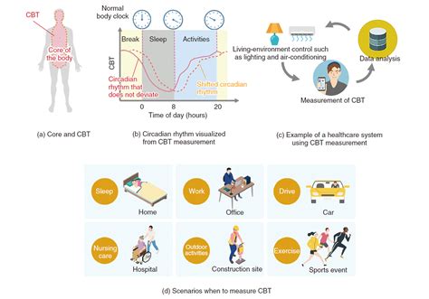 Technology For Visualizing The Circadian Rhythm Wearable Core Body