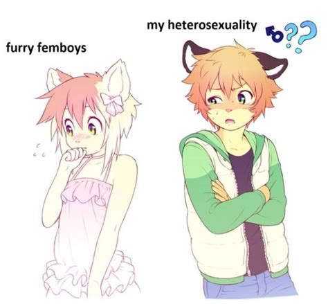 My Heterosexuality ºa Furry Femboys