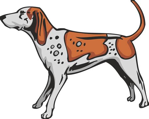 American English Coonhound Dog Sticker