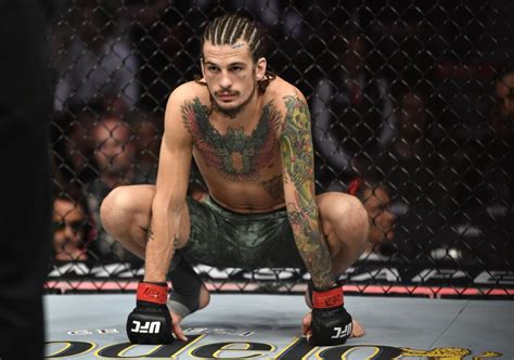 Дана уайт, шон о'мэлли и новый чемпион ufc в тяжёлом весе фрэнсис нганну подводят итоги грандиозного турнира ufc 260. Шон О'Мэлли - Марлон Вера: коэффициенты и прогноз на бой ...