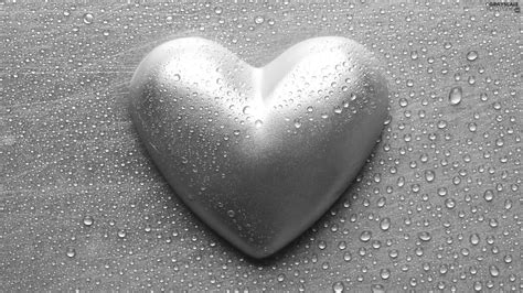 Grayscale Silver Drops Grey Background Heart 2560x1440