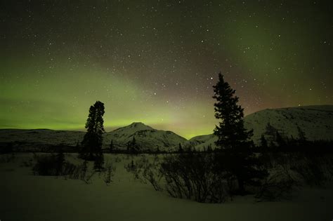 Northern Lights Of The Yukon Winter Holidays Discover North America