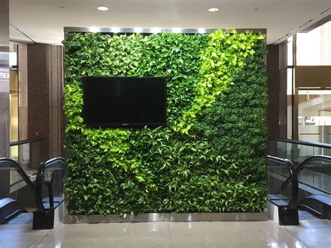 Everything You Need To Know About Vertical Green Walls