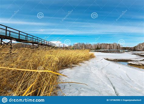 Spring Landscape On The Siberian River Western Siberia Russia Stock