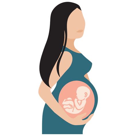 Pregnant Woman With See Through Belly Illustration Free Svg