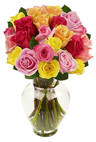 24 Long Stem Rainbow Roses With Vase Flowersnhoney Fresh Flowers