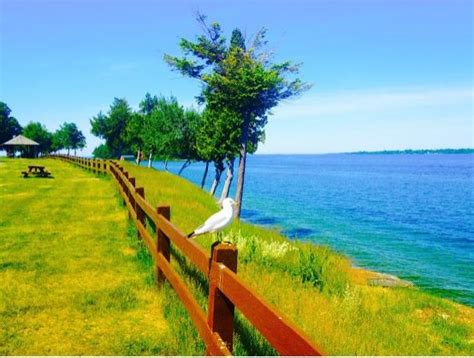 We did not find results for: Canoe-Picnic Point State Park - Clayton, NY - State Parks ...