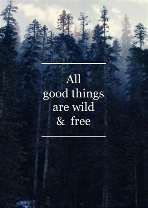 Enjoying the quotes so far? All Good Things Are Wild And Free Pictures, Photos, and Images for Facebook, Tumblr, Pinterest ...